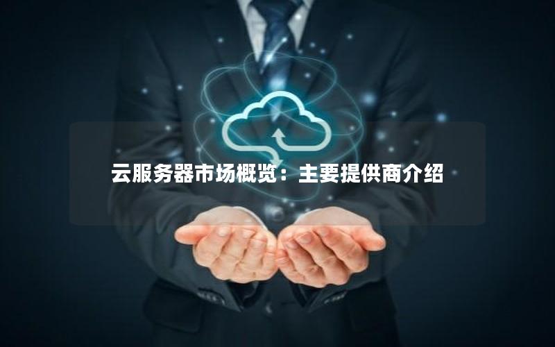 云服务器市场概览：主要提供商介绍