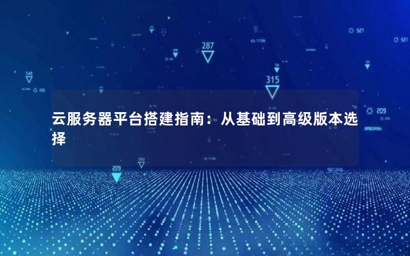 云服务器平台搭建指南：从基础到高级版本选择