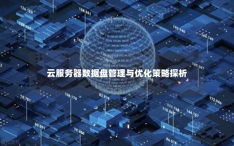 云服务器数据盘管理与优化策略探析