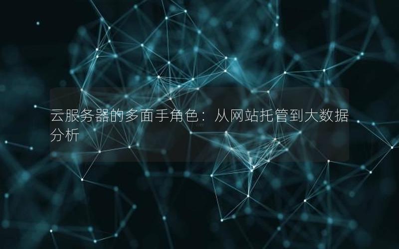 云服务器的多面手角色：从网站托管到大数据分析
