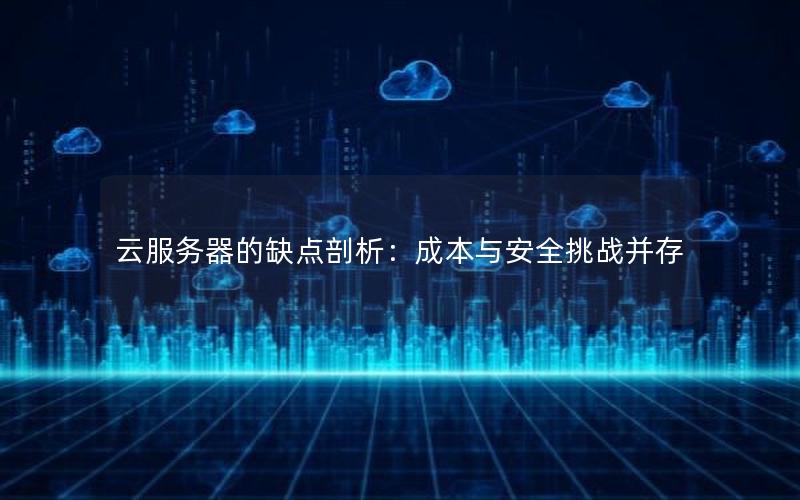 云服务器的缺点剖析：成本与安全挑战并存