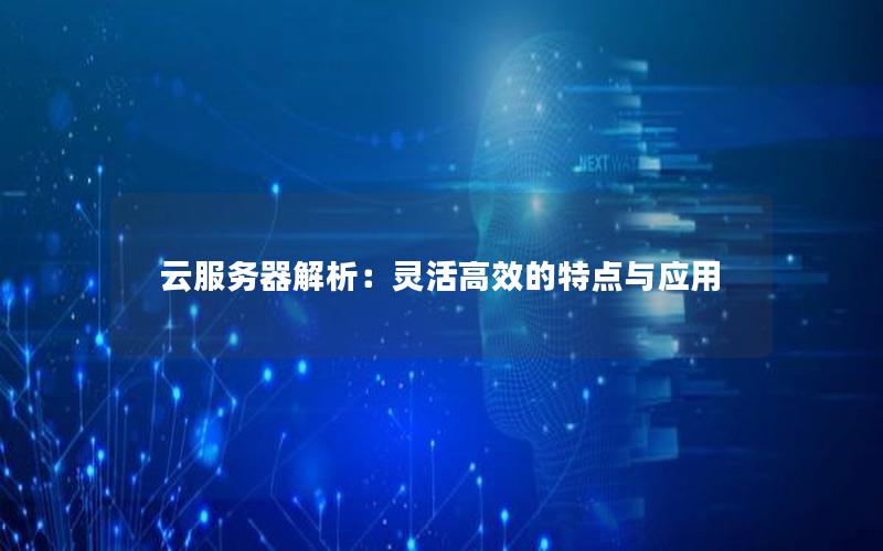 云服务器解析：灵活高效的特点与应用