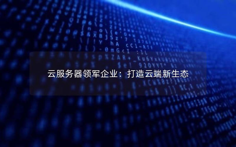 云服务器领军企业：打造云端新生态
