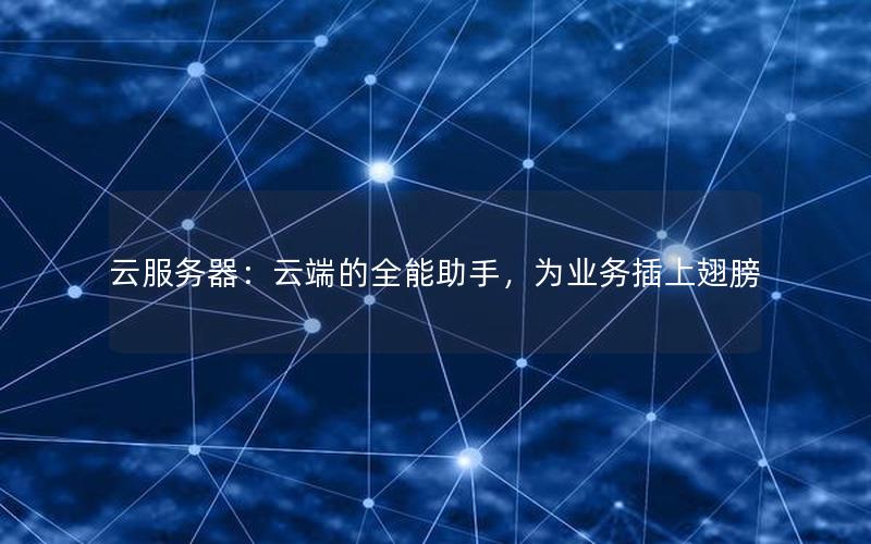 云服务器：云端的全能助手，为业务插上翅膀