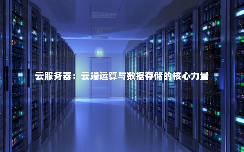 云服务器：云端运算与数据存储的核心力量