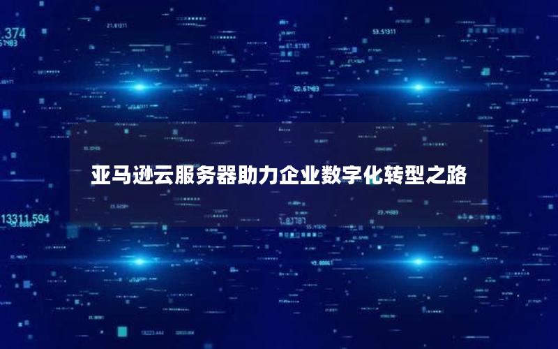 亚马逊云服务器助力企业数字化转型之路