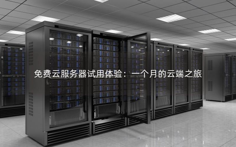 免费云服务器试用体验：一个月的云端之旅