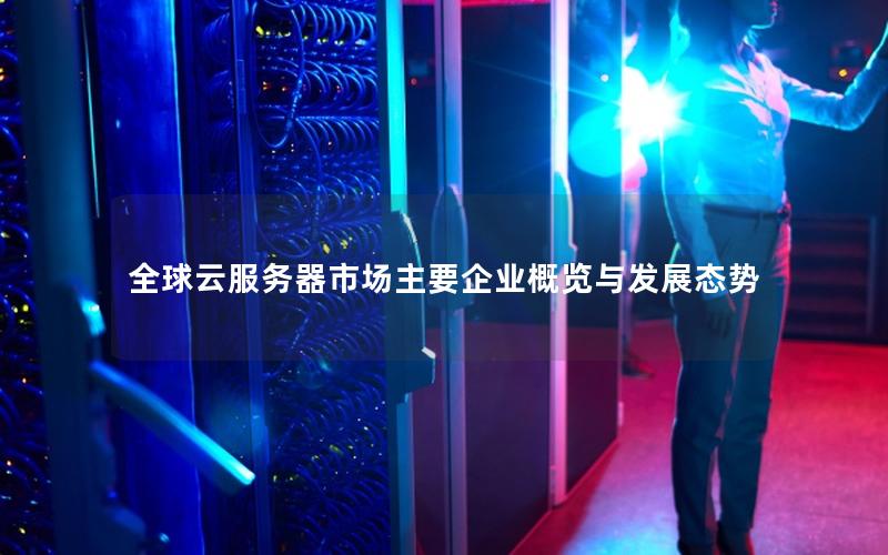 全球云服务器市场主要企业概览与发展态势