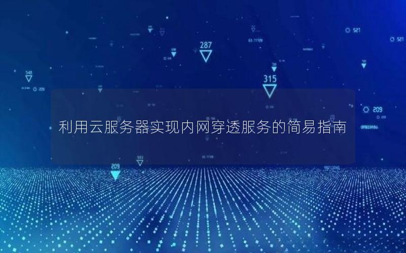 利用云服务器实现内网穿透服务的简易指南