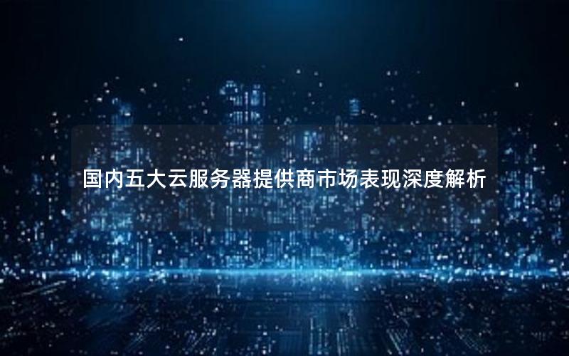 国内五大云服务器提供商市场表现深度解析