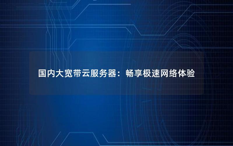 国内大宽带云服务器：畅享极速网络体验