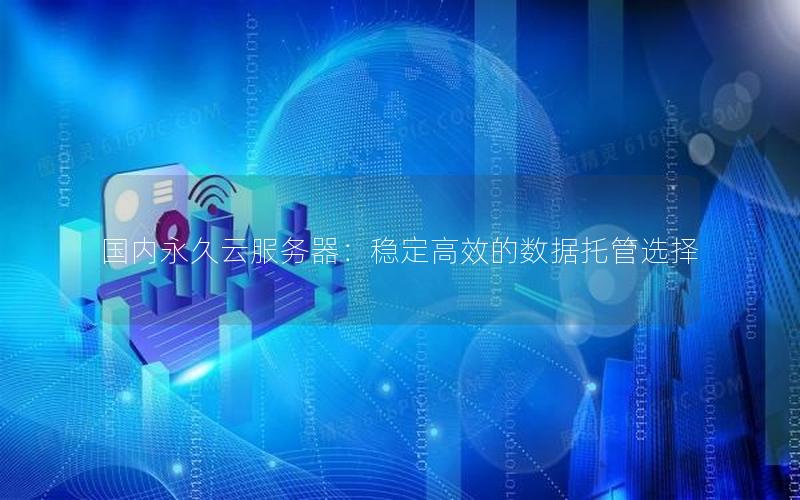 国内永久云服务器：稳定高效的数据托管选择