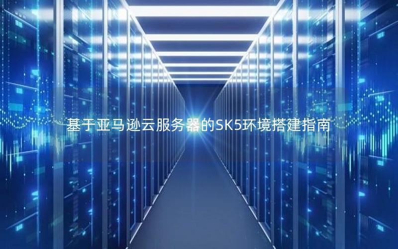 基于亚马逊云服务器的SK5环境搭建指南