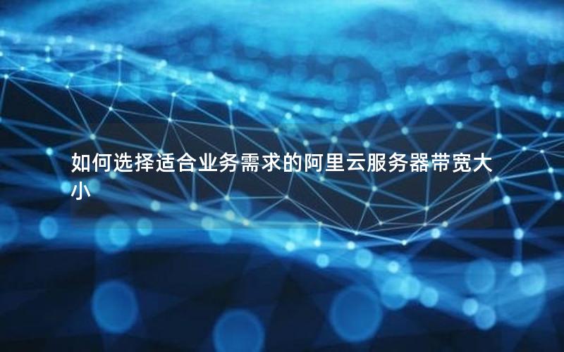 如何选择适合业务需求的阿里云服务器带宽大小