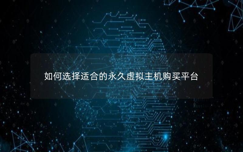 如何选择适合的永久虚拟主机购买平台