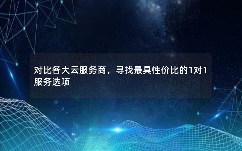 对比各大云服务商，寻找最具性价比的1对1服务选项