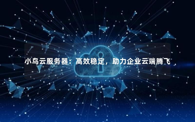 小鸟云服务器：高效稳定，助力企业云端腾飞