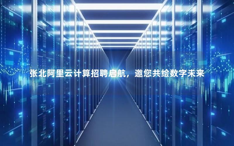 张北阿里云计算招聘启航，邀您共绘数字未来