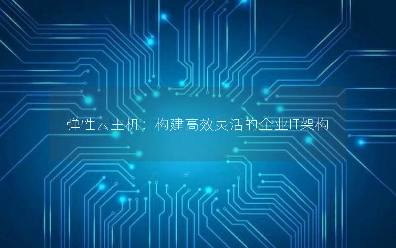 弹性云主机：构建高效灵活的企业IT架构