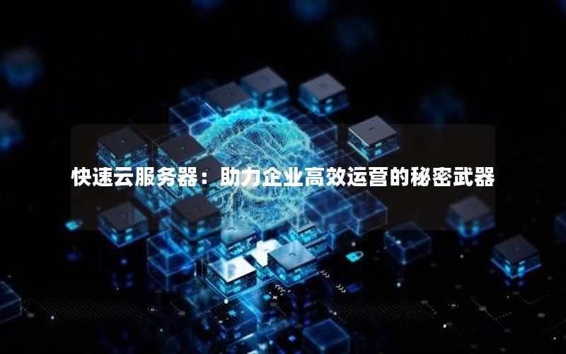 快速云服务器：助力企业高效运营的秘密武器