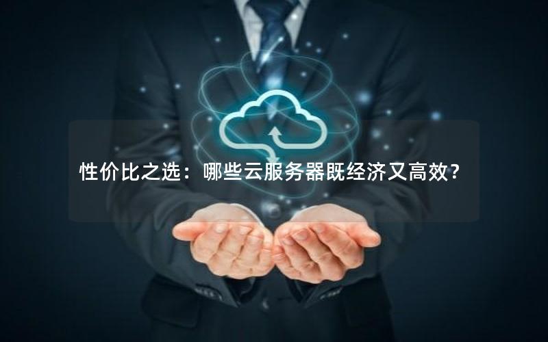 性价比之选：哪些云服务器既经济又高效？