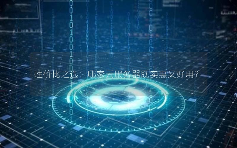性价比之选：哪家云服务器既实惠又好用？