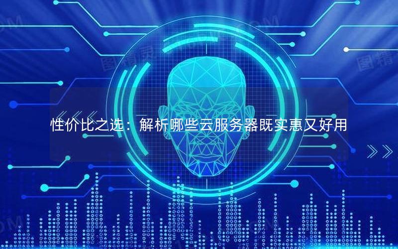 性价比之选：解析哪些云服务器既实惠又好用