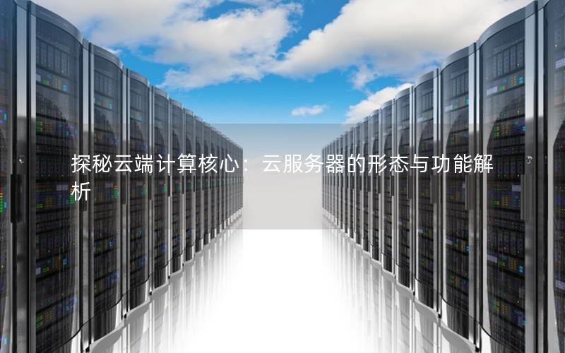 探秘云端计算核心：云服务器的形态与功能解析