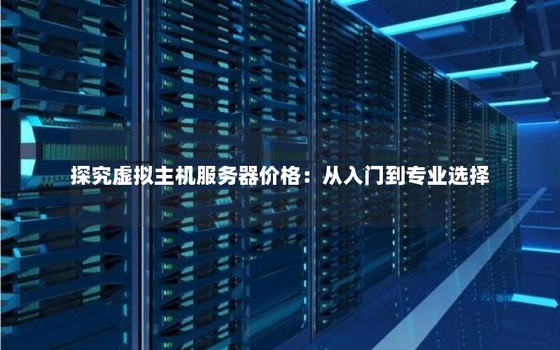 探究虚拟主机服务器价格：从入门到专业选择