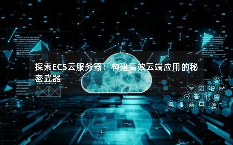 探索ECS云服务器：构建高效云端应用的秘密武器
