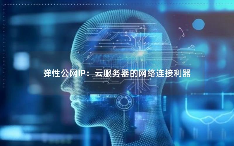 弹性公网IP：云服务器的网络连接利器