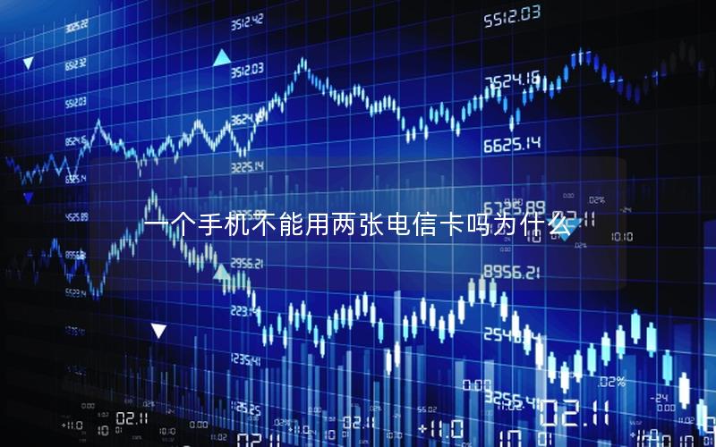 一个手机不能用两张电信卡吗为什么