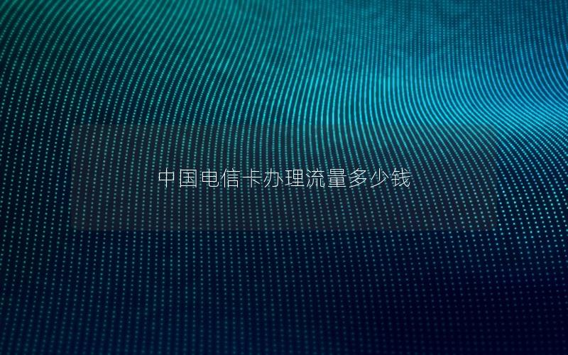 中国电信卡办理流量多少钱