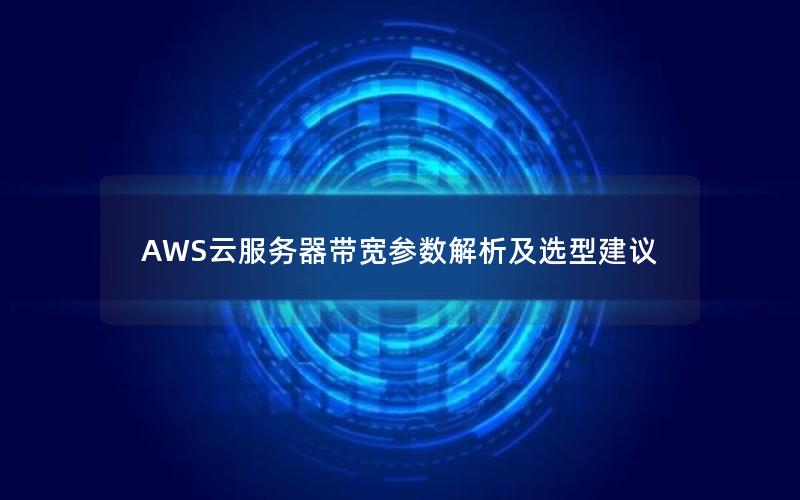 AWS云服务器带宽参数解析及选型建议
