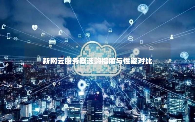 新网云服务器选购指南与性能对比