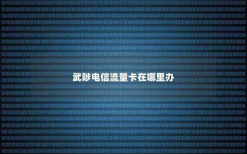 武陟电信流量卡在哪里办