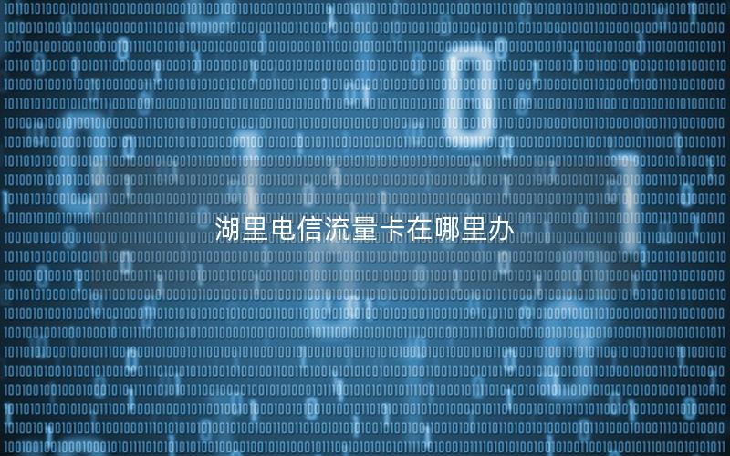 湖里电信流量卡在哪里办