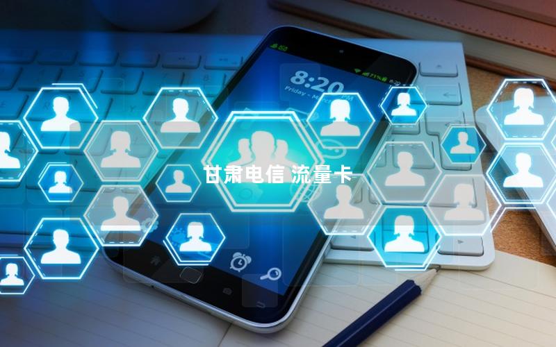 甘肃电信 流量卡