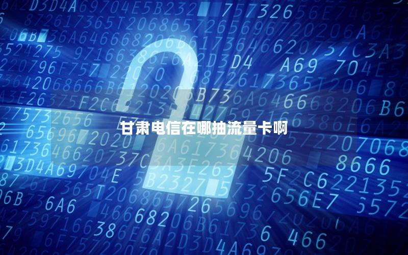 甘肃电信在哪抽流量卡啊