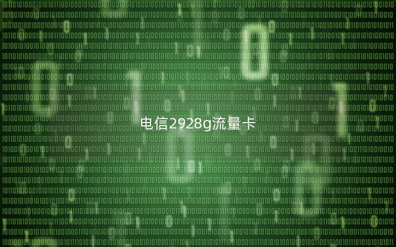 电信2928g流量卡