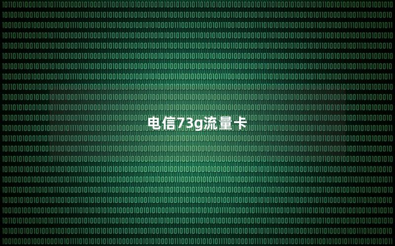 电信73g流量卡