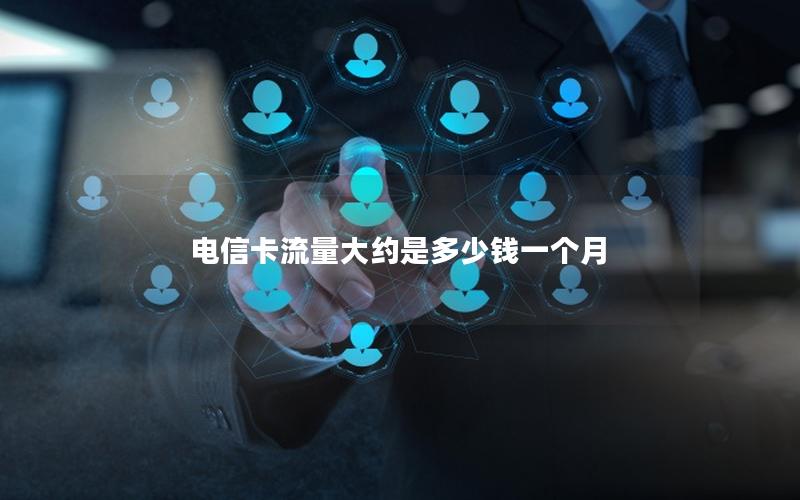 电信卡流量大约是多少钱一个月