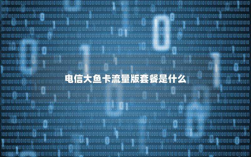 电信大鱼卡流量版套餐是什么