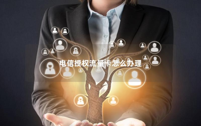 电信授权流量卡怎么办理