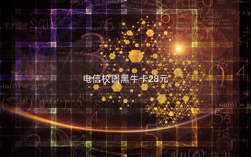 电信校园黑牛卡28元