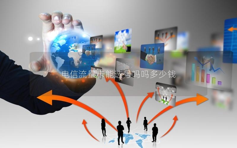 电信流量卡能选号吗吗多少钱