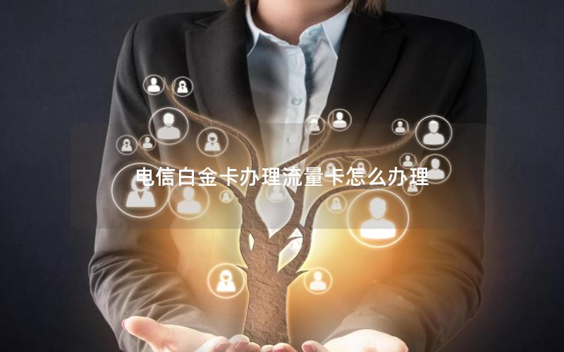 电信白金卡办理流量卡怎么办理