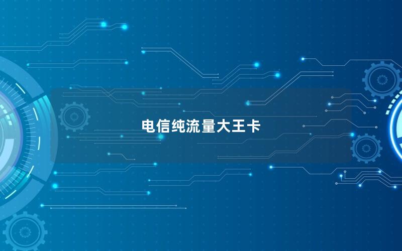 电信纯流量大王卡