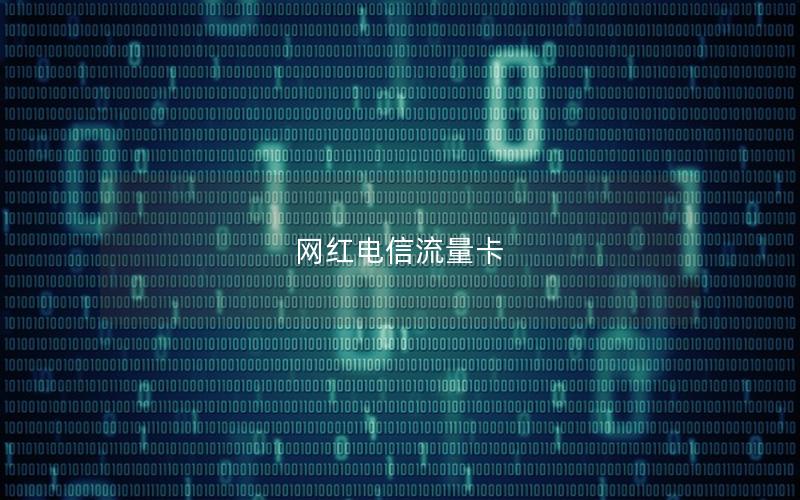 网红电信流量卡