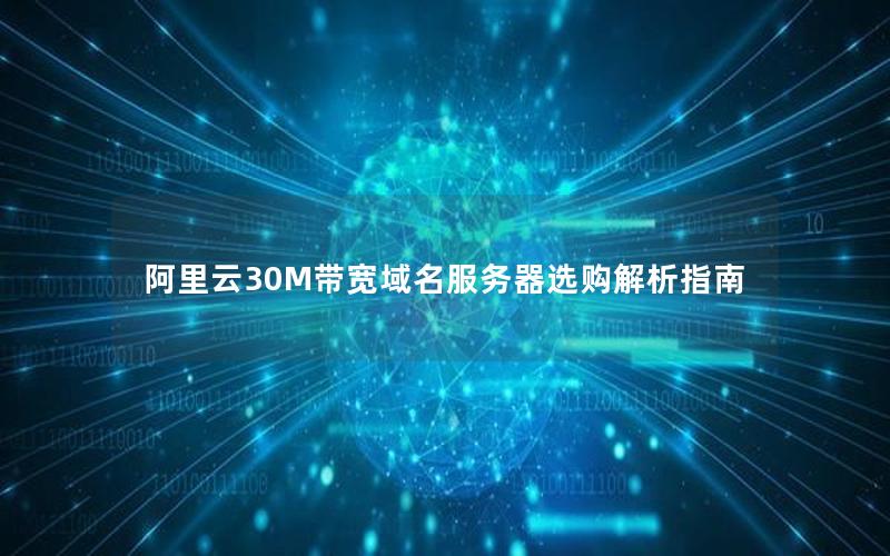 阿里云30M带宽域名服务器选购解析指南